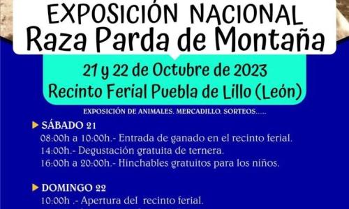 exposición nacional raza parda de montaña.