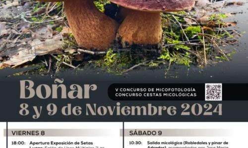 Jornadas micológicas en Boñar.