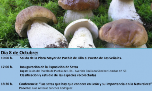 XIV Jornadas micológicas de Puebla de Lillo.