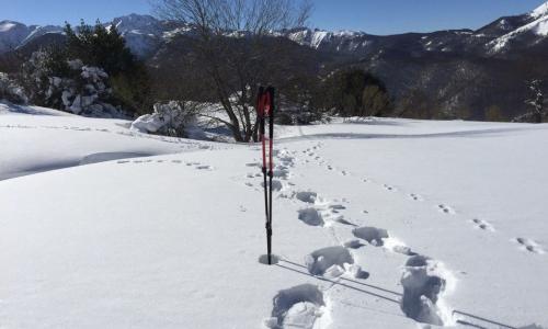 Espeleo-Aventura: Nieve