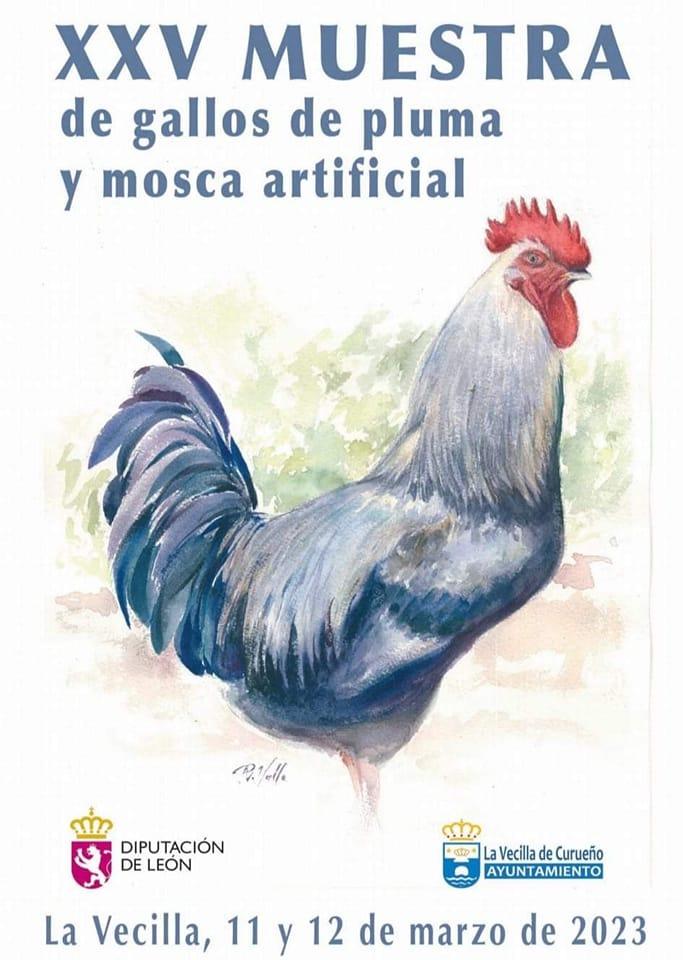 Muestra de gallos de pluma y mosca artificial.0