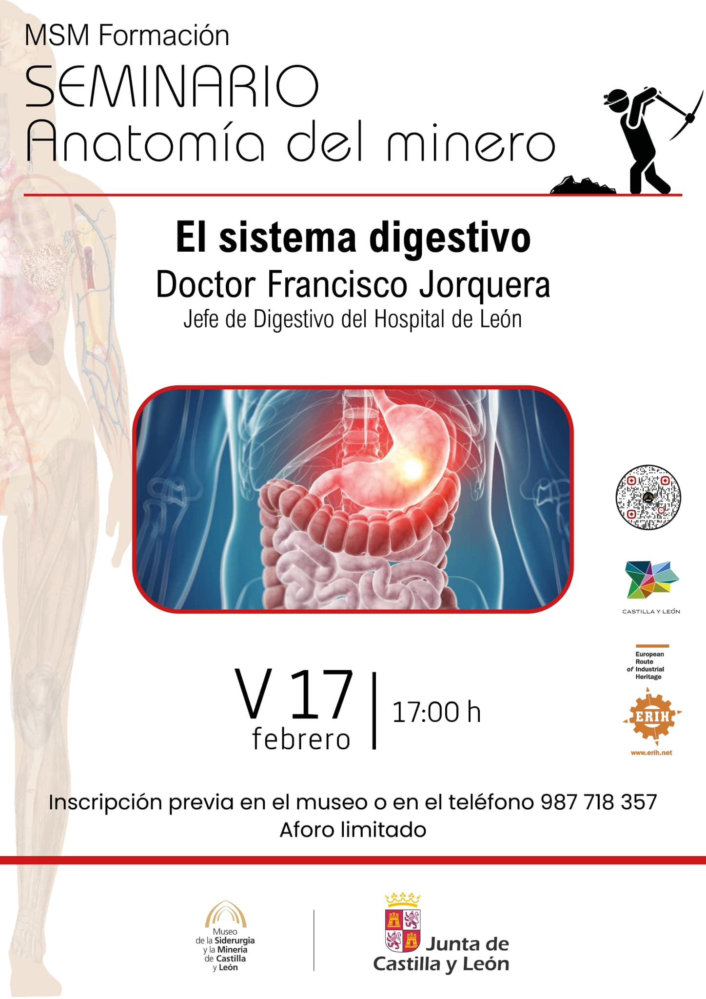 Seminario anatomía del minero.0