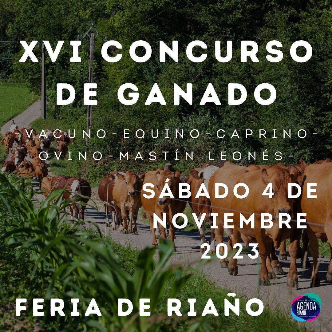 Concurso de Ganado - Feria de Riaño.0