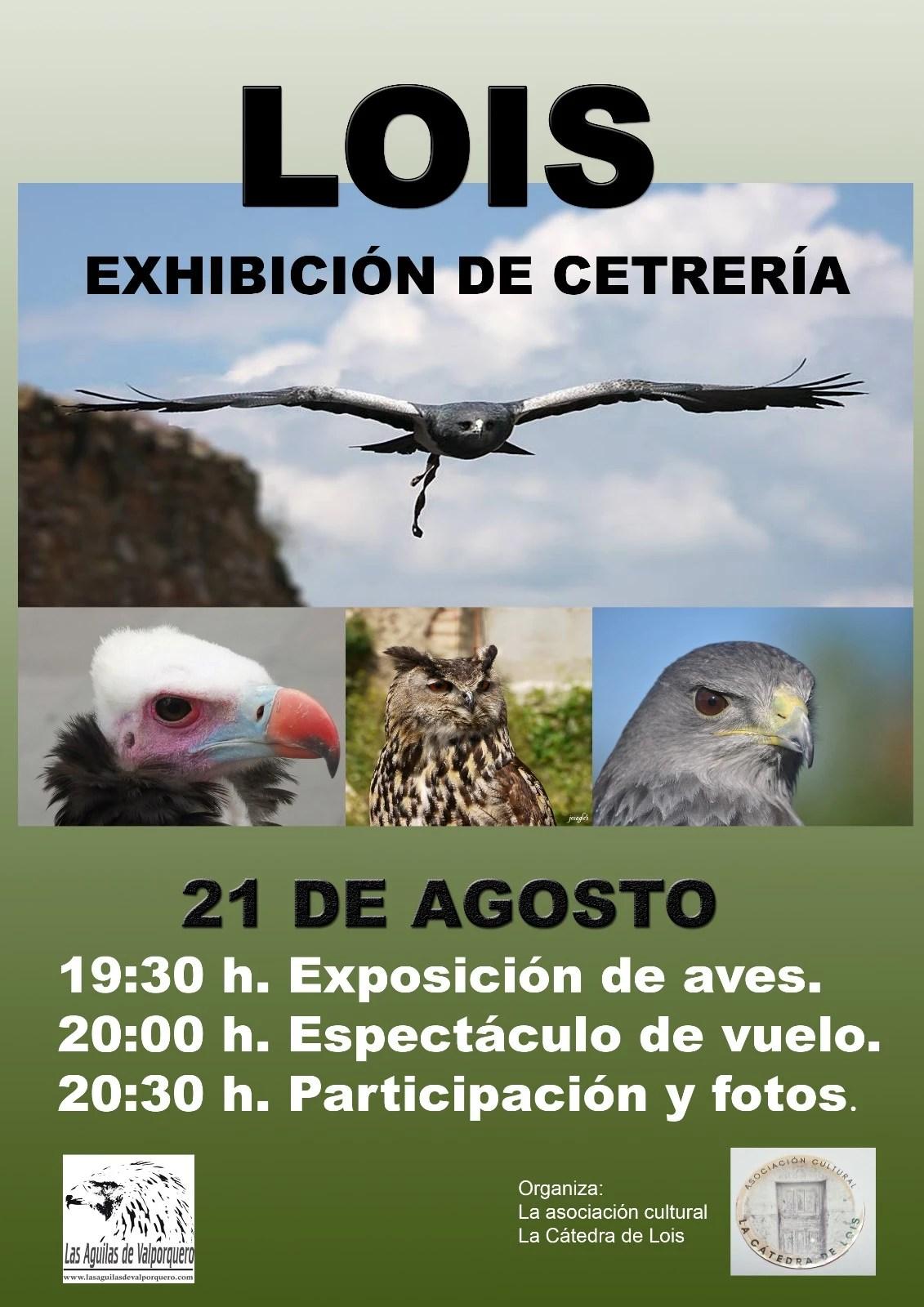 Exhibición de cetrería.0