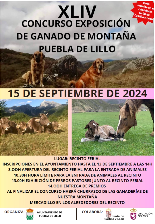 Concurso exposición de ganado de montaña.0